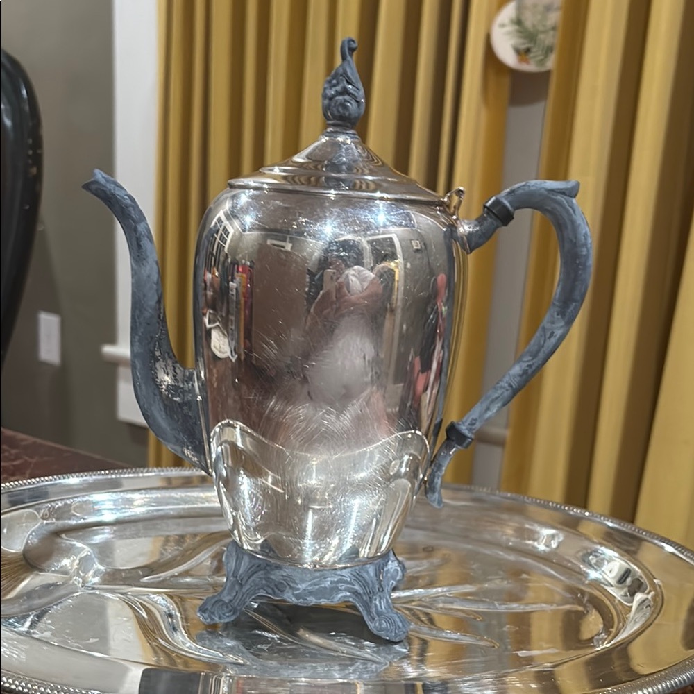 Elegant Silver Teapot with Ornate Design